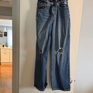 Wild Fable Blue Distressed Flare Jeans